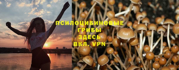 эйфоретик Надым