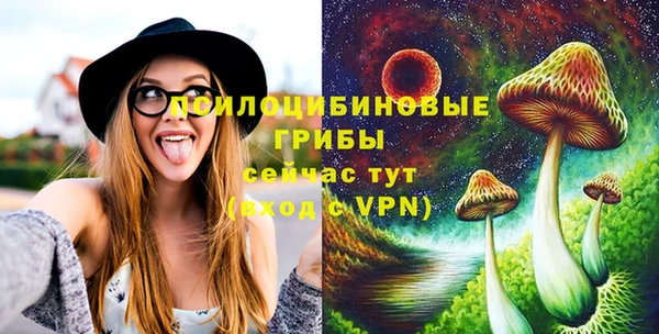 дживик Нефтекумск
