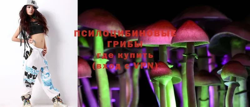 Галлюциногенные грибы MAGIC MUSHROOMS  Порхов 